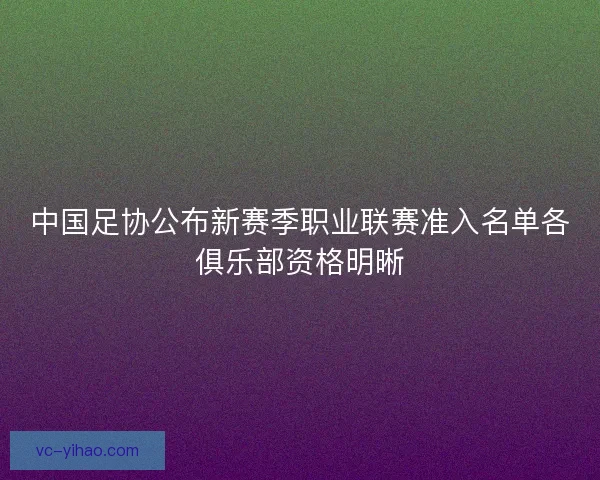 中国足协公布新赛季职业联赛准入名单各俱乐部资格明晰
